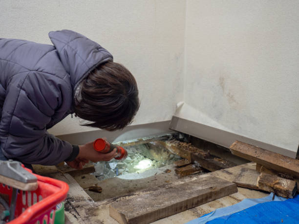 Best Real Estate Mold Inspection  in Newport, SC