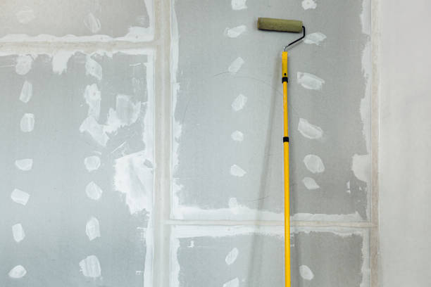 Best Black Mold Removal  in Newport, SC