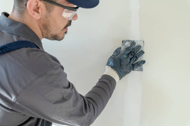 Newport, SC Mold Removal Company