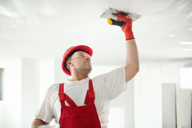 Best Comprehensive Air Testing for Mold Contaminants  in Newport, SC