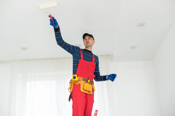 Best Mold Damage Restoration  in Newport, SC