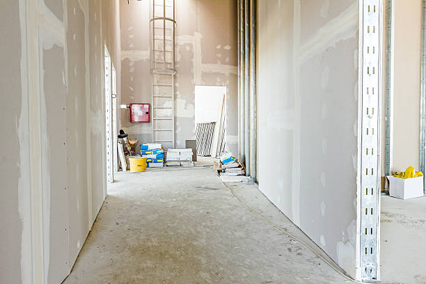 Best Industrial Mold Remediation  in Newport, SC