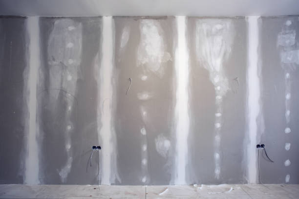  Newport, SC Mold Removal Pros